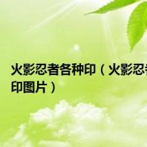 火影忍者各种印（火影忍者12个印图片）