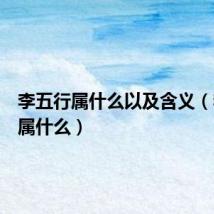 李五行属什么以及含义(李五行属什么)