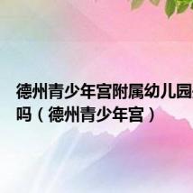 德州青少年宫附属幼儿园是公立吗(德州青少年宫)