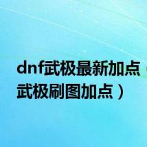 dnf武极最新加点（dnf武极刷图加点）