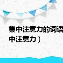 集中注意力的词语（集中注意力）