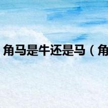 角马是牛还是马（角马）