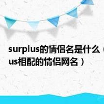 surplus的情侣名是什么（surplus相配的情侣网名）