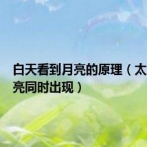 白天看到月亮的原理(太阳和月亮同时出现)