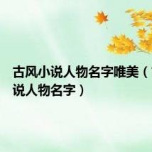 古风小说人物名字唯美(古风小说人物名字)