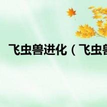 飞虫兽进化（飞虫兽）