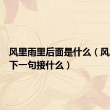 风里雨里后面是什么(风里雨里下一句接什么)