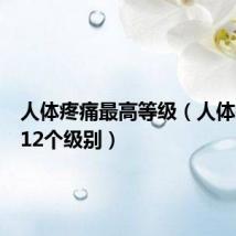人体疼痛最高等级(人体疼痛的12个级别)