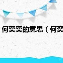 何奕奕的意思（何奕奕）