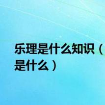 乐理是什么知识（乐理是什么）