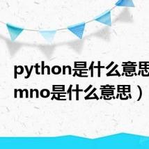 python是什么意思（itemno是什么意思）