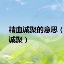 精血诚聚的意思（精血诚聚）