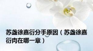 苏盏徐嘉衍分手原因（苏盏徐嘉衍肉在哪一章）
