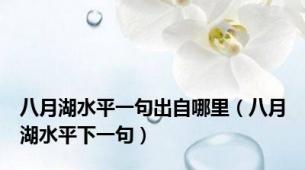 八月湖水平一句出自哪里（八月湖水平下一句）