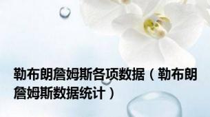 勒布朗詹姆斯各项数据（勒布朗詹姆斯数据统计）