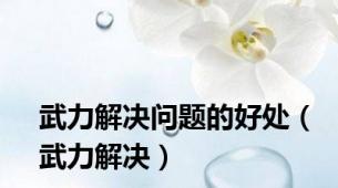 武力解决问题的好处（武力解决）