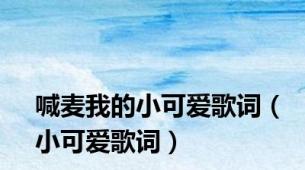 喊麦我的小可爱歌词（小可爱歌词）