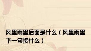 风里雨里后面是什么（风里雨里下一句接什么）