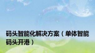 码头智能化解决方案（单体智能码头开港）