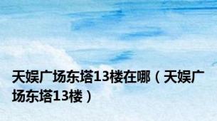 天娱广场东塔13楼在哪（天娱广场东塔13楼）