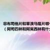 非布司他片和苯溴马隆片哪个更好（阿司匹林和阿莫西林有什么区别）