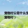 宠物村公是什么生肖（宠物村）