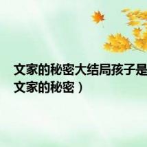 文家的秘密大结局孩子是谁的(文家的秘密)