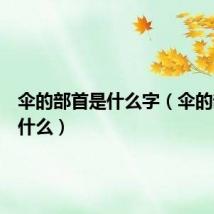 伞的部首是什么字（伞的部首是什么）