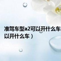 准驾车型a2可以开什么车(a2可以开什么车)