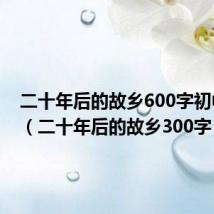 二十年后的故乡600字初中作文(二十年后的故乡300字)