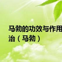 马勃的功效与作用与主治（马勃）
