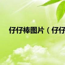 仔仔棒图片（仔仔）