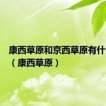 康西草原和京西草原有什么区别（康西草原）