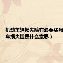 机动车辆损失险有必要买吗(机动车损失险是什么意思)