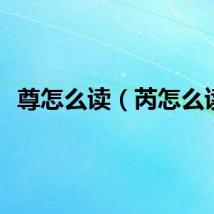 尊怎么读（芮怎么读）