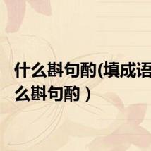 什么斟句酌(填成语)(什么斟句酌)