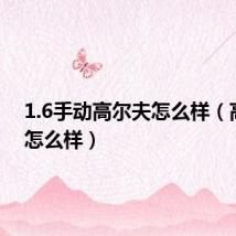 1.6手动高尔夫怎么样(高尔夫怎么样)