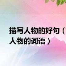描写人物的好句（描写人物的词语）