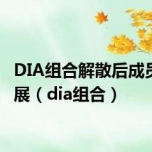 DIA组合解散后成员的发展(dia组合)