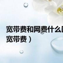 宽带费和网费什么区别（宽带费）