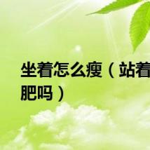坐着怎么瘦（站着能减肥吗）
