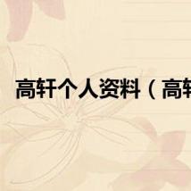 高轩个人资料（高轩）