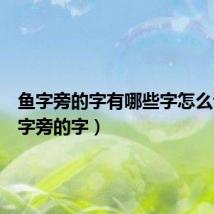 鱼字旁的字有哪些字怎么读（鱼字旁的字）