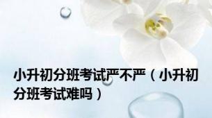 小升初分班考试严不严（小升初分班考试难吗）