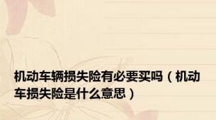 机动车辆损失险有必要买吗（机动车损失险是什么意思）