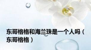 东哥格格和海兰珠是一个人吗（东哥格格）