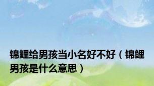 锦鲤给男孩当小名好不好（锦鲤男孩是什么意思）