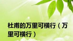 杜甫的万里可横行（万里可横行）