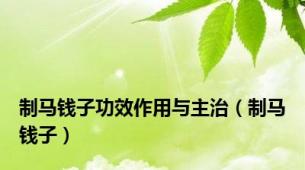 制马钱子功效作用与主治（制马钱子）