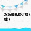 双色瞳孔猫价格（双色瞳）
